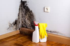 Mold Remediation for Rental Properties in Fowler, CA